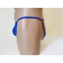 Harness Lace Panties blue