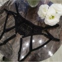 Harness Lace Crotchless Panties black