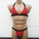 Harness Lace Lingerie set with Bra and Panties red with black