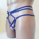 Harness Crotchless Panties with Rings blue