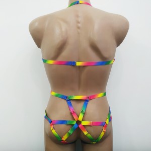 Bodysuit Harness with Open Crotch Panties and Rings Rainbow