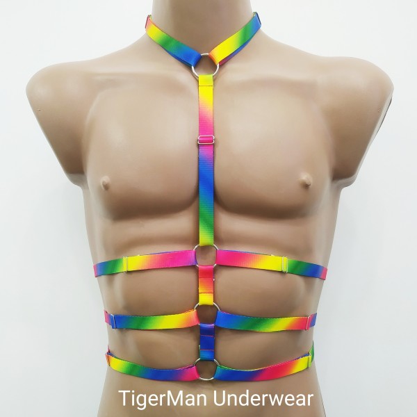 Chest Harness Open Cup Bra with Choker and Rings Rainbow