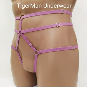 Harness Crotchless Panties with Rings purple