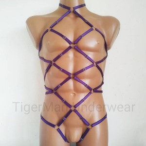 Bodysuit Harness with Choker, Open Crotch Panties and Rings purple